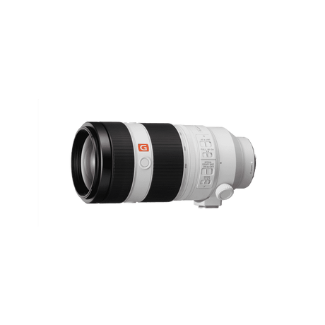 Sony FE 100-400mm G Master Super-Telephoto Zoom Lens