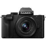 Panasonic Lumix DC-G100 Mirrorless Digital Camera with 12-32mm Lens and Tripod Grip Kit