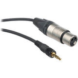 Sony 3.5mm Mini-Plug to XLR Female Cable