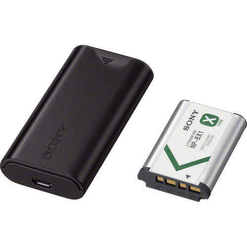 Sony Battery and Travel DC Charger Kit