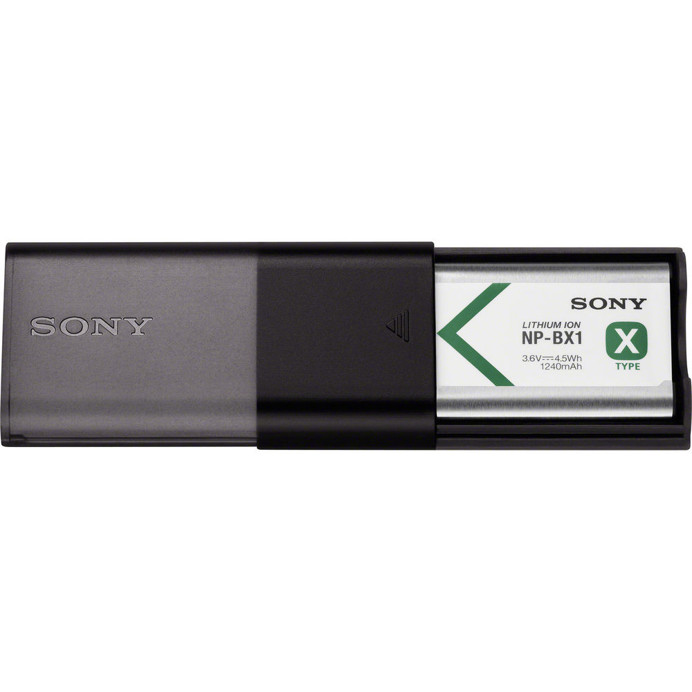 Sony Battery and Travel DC Charger Kit